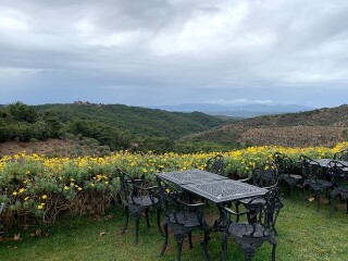 Ayda Winery & Vineyards