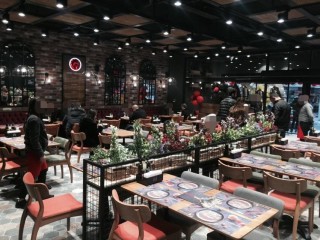 Tavuk Dünyası