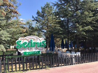 SedruS