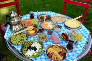 Giresun Kavak Yelleri