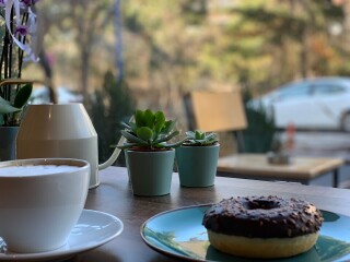 Paw Coffee & Snacks