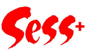 Sess'li One Tower