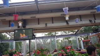 El Fakhir Cafe YÖRÜK CAFE