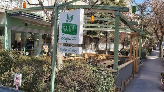 Kantin Organic
