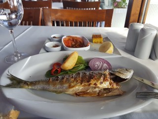 Bebek Balıkçı
