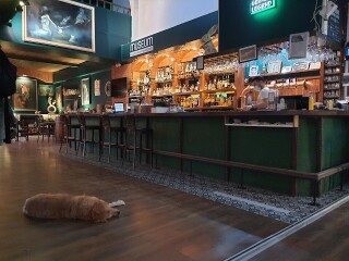 Museum Pub