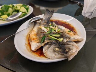 Sur Balık Restoran Haliç