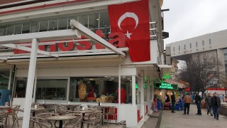 Hosta - Sakarya