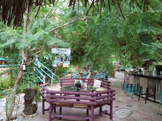 Botanik Garden Bar