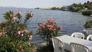 Muhtarın Yeri