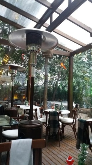 Emily's Garden
