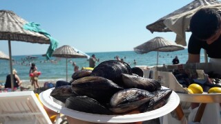 Diva cafe beach