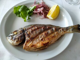 Sur Balık Restoran Sarayburnu