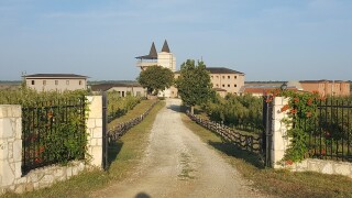 BAKUCHA Vineyard