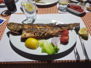 Balıkçı Doğan - Beypazarı