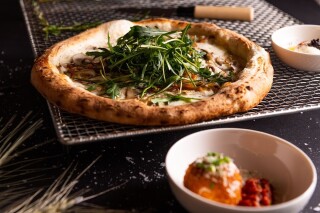 Filo D'olio Vadistanbul Vadi İstanbul