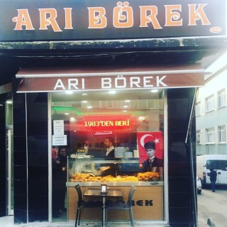 ARI BÖREK