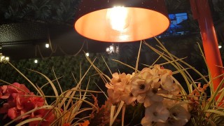 Marrakesh Cafe PURSAKLAR