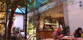 Habanos Lounge 312 Boutique