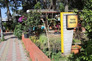 Tutti Frutti Cafe