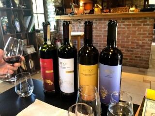 Urlice Vineyards