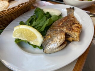 Neşeli Balık