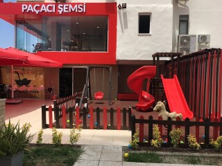 Paçaci Şemsi