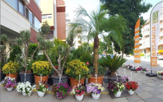 BOSAMUA GARDEN