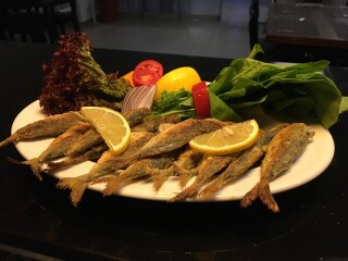 Yacht Club Cafe&Restaurant