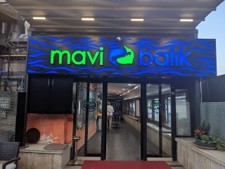 mavi balık