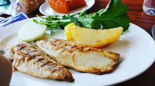 TUZLA PALMİYE SOSYAL TESİSLERİ