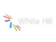 White Hill AVM