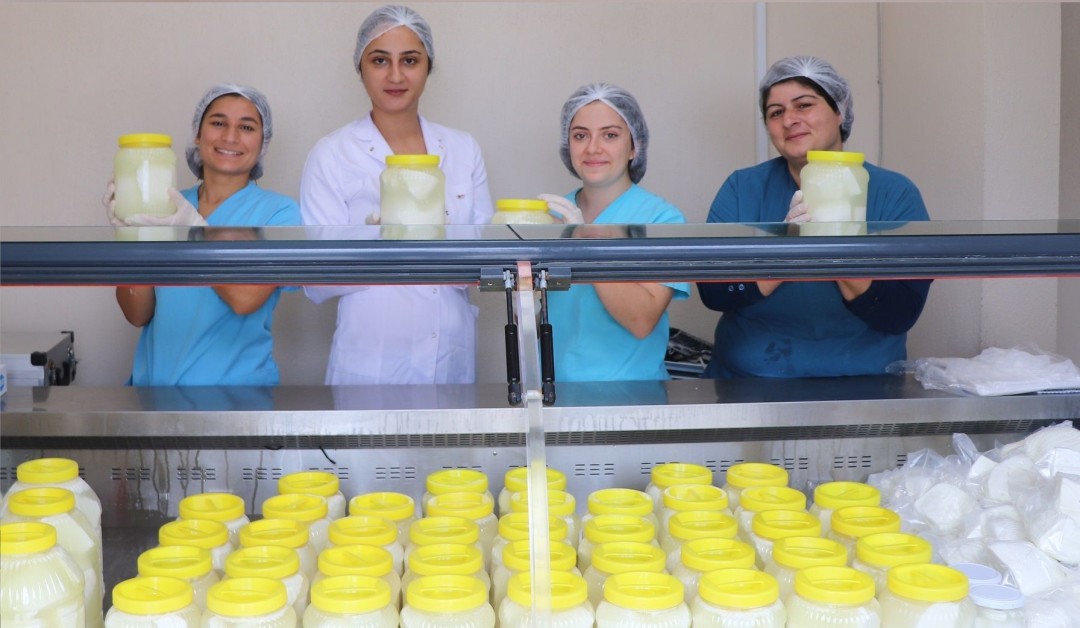 Türkiye, Karaburun’un keçi peynirini tanıyacak