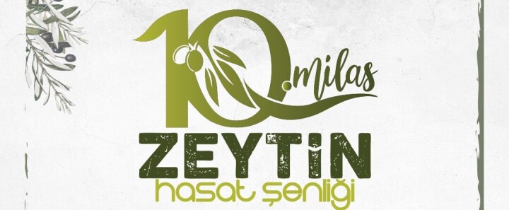 10. Milas Zeytin Hasat Şenliği İçin Geri Sayım Başladı fotoğraf