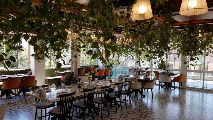 Lokanta Nevnihal’den Ekşili Levrek tarifi fotoğraf