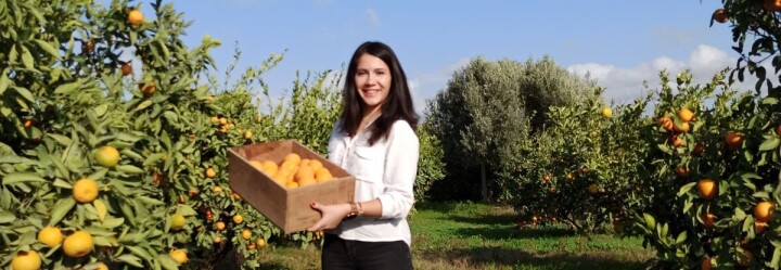 Seferihisar mandalinaları kurutulmuş atıştırmalıklara dönüştü fotoğraf