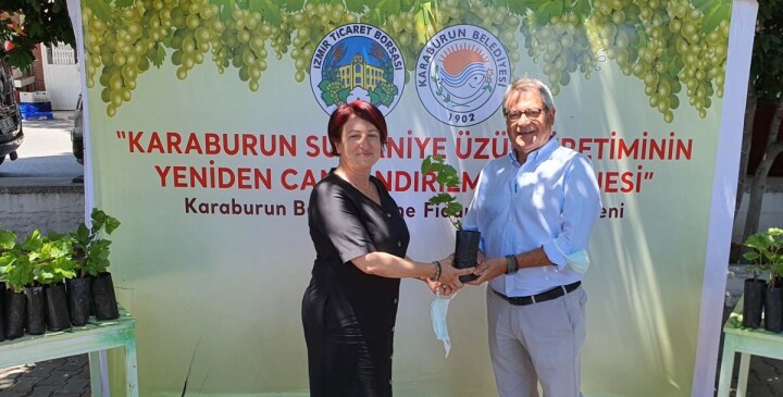 Karaburun’da bağcılık yeniden canlanıyor… fotoğraf