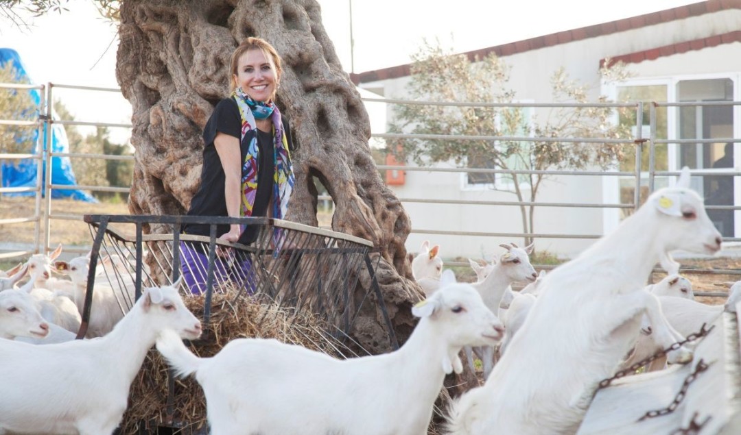 Virüslere karşı bağışıklığınızı kefir ile güçlendirin