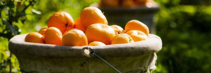 Mandalina üreticisinin işleme tesisi hasreti bitiyor! fotoğraf