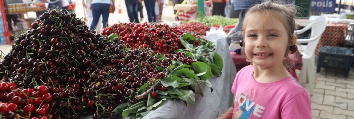 Bayındır Balcılar Kiraz Festivali 10. Yılında fotoğraf