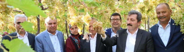 Üzümler Gelin Oldu! fotoğraf