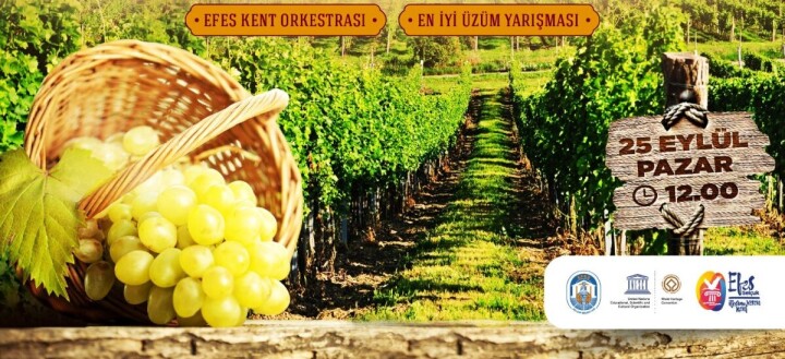 Şerefine Salkım Hanım Osmancık Üzüm Şenliği Bu Pazar Gökçealan’da fotoğraf