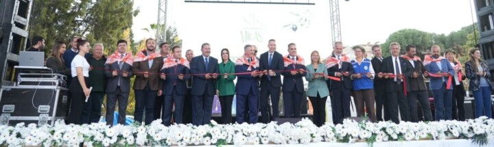 Zeytinin Başkenti Milas’ta Hasat Coşkusu Başladı