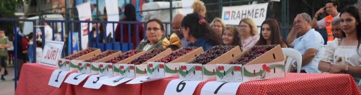 Kiraz Festivali Coşkusu Başlıyor fotoğraf