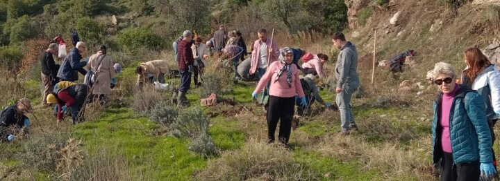 Bornova Belediyesi’nden arıcılara lavanta desteği fotoğraf