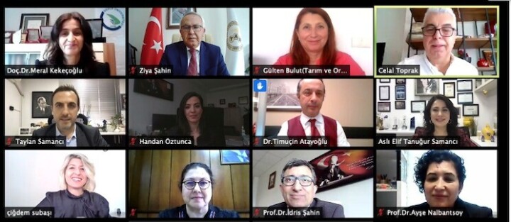 Arı Zehri dünyaya tanıtılacak! fotoğraf