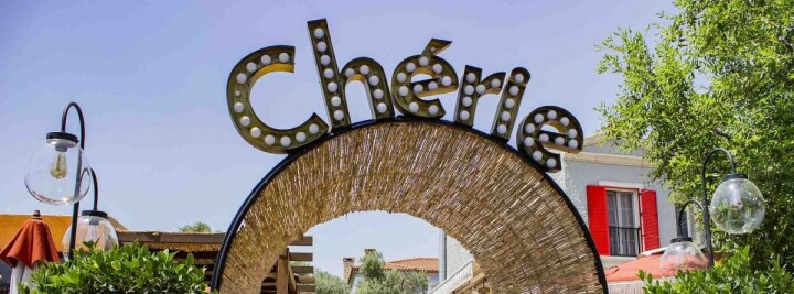 Yaşar, “Cherie”de sahne alıyor fotoğraf