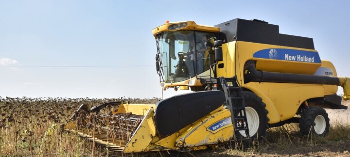 Yerel ayçiçeği tohumu projesinde ilk hasat yapıldı fotoğraf
