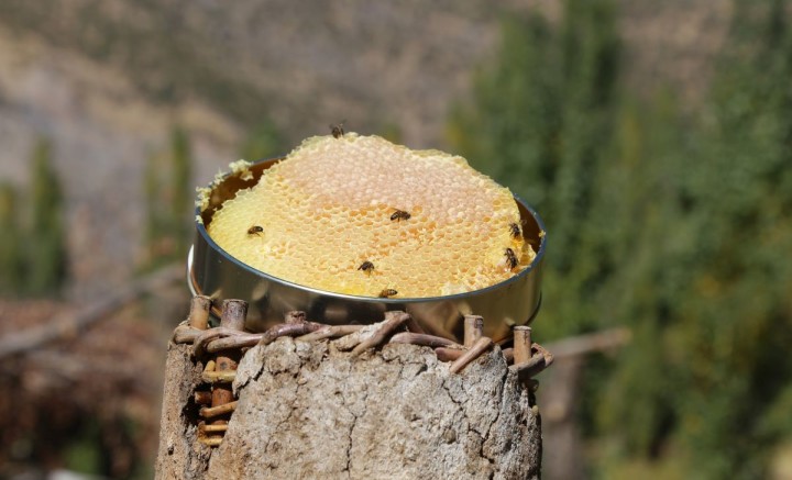 Honey Leaves’in Karakovan Balı Gurmelerden tam not aldı fotoğraf