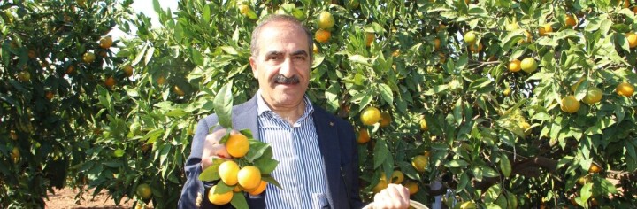 Türkiye, mandalina ihracatında 650 milyon dolar hedefliyor fotoğraf